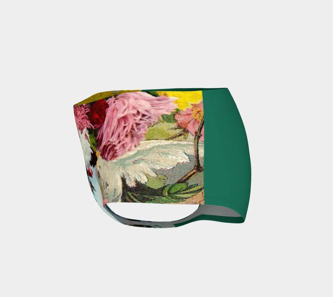 Birds of Mumford Swim Briefs