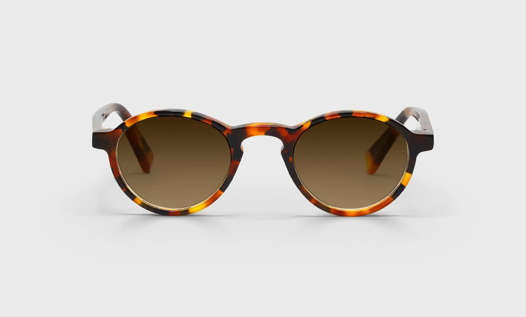 Board Stiff Readers