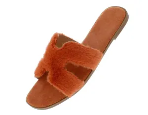 Favorite Color Orange