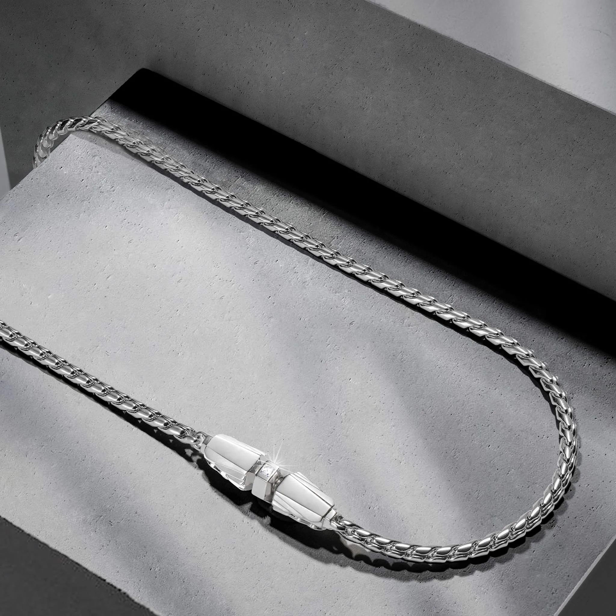 Feather Clasp Silver Chain Necklace