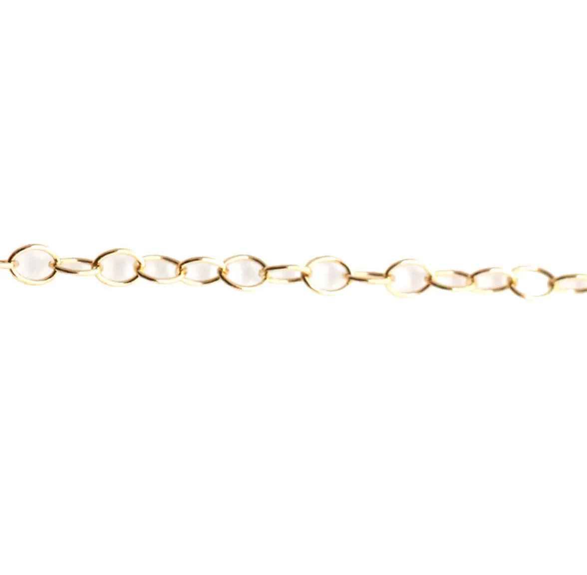 Horseshoe Charm Necklace