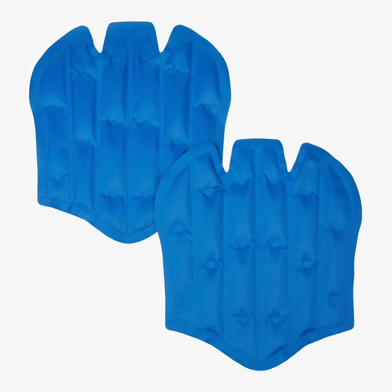 LeMieux ProIce Freeze Boots Gel Packs