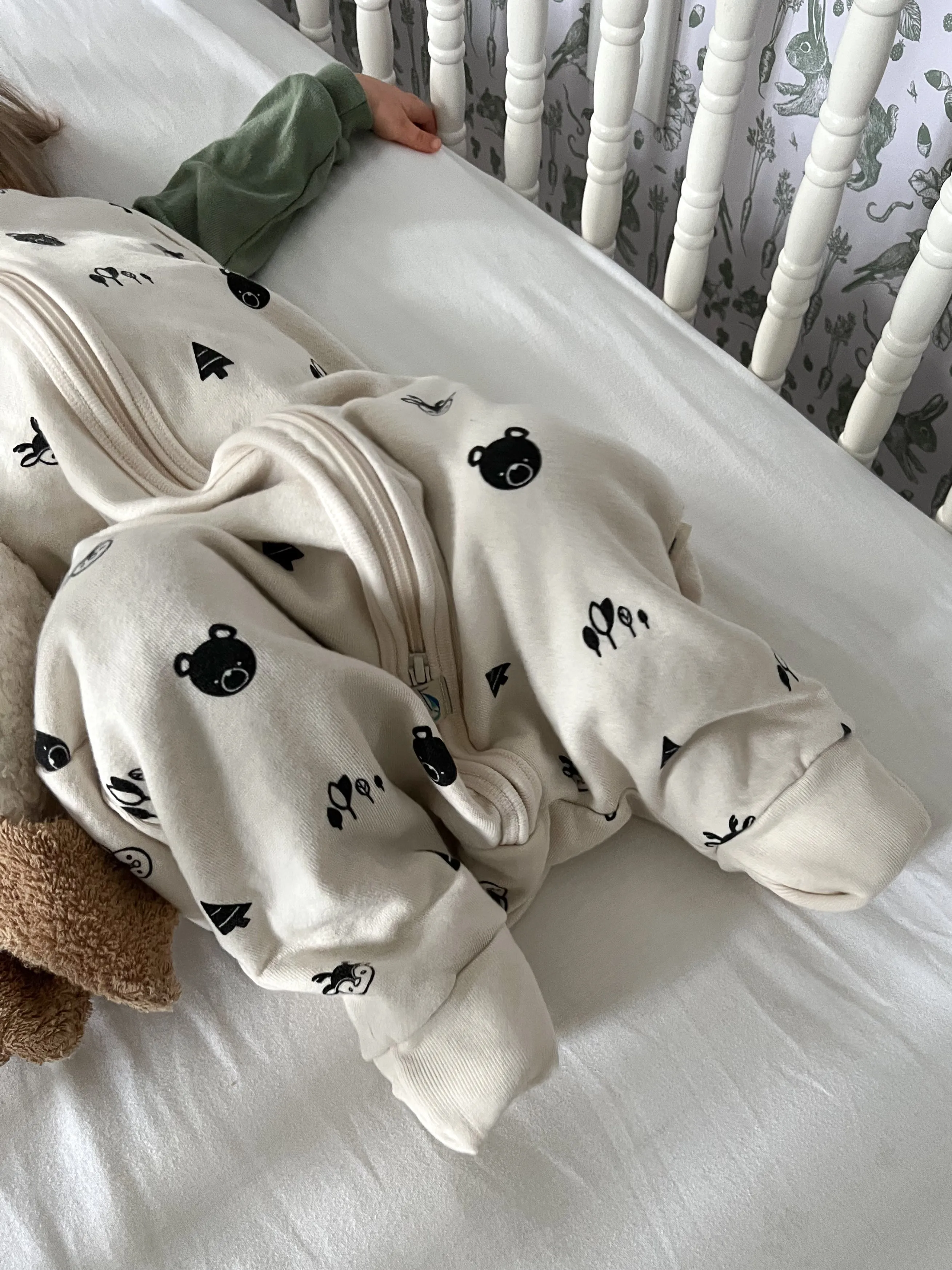 Long Sleeve Organic Cotton Fleece Sleeper Bag For Walkers TOG 2.0