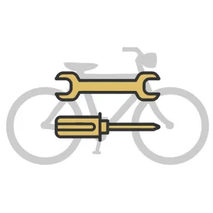 Maintenance Gold Tune Up