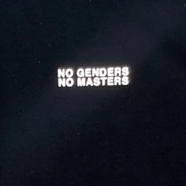 No Genders, No Masters reflective T-shirt