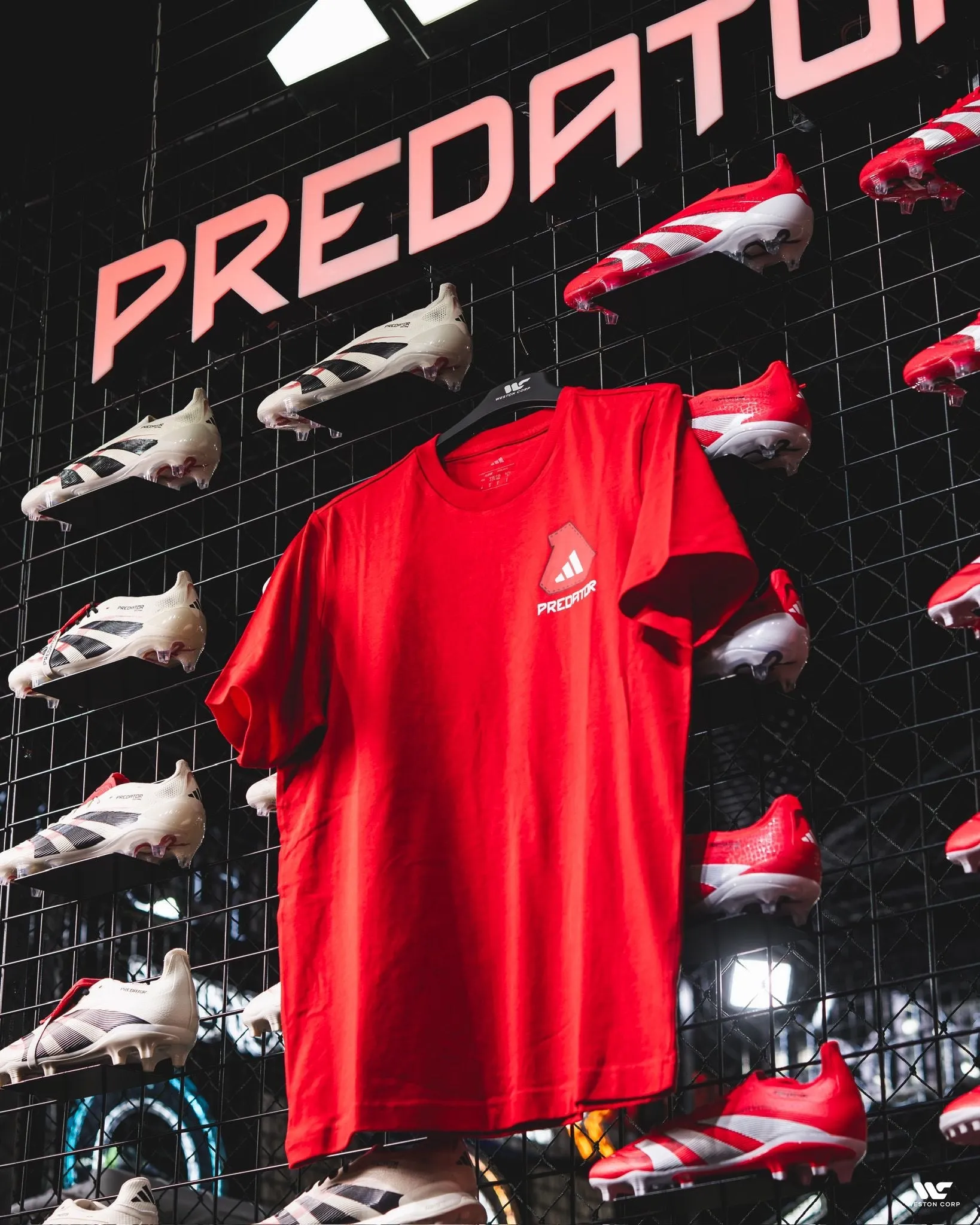 Predator Adult History Graphic Tee
