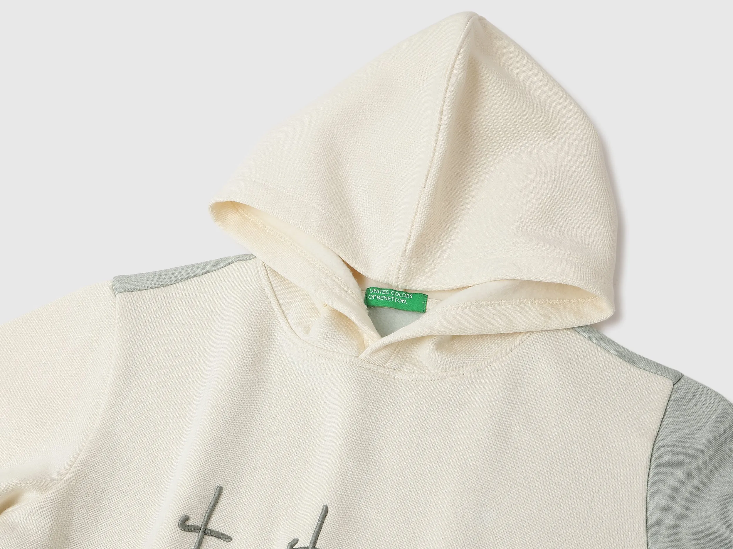 Regular Fit Hooded Neck Colorblock Sweatshirt