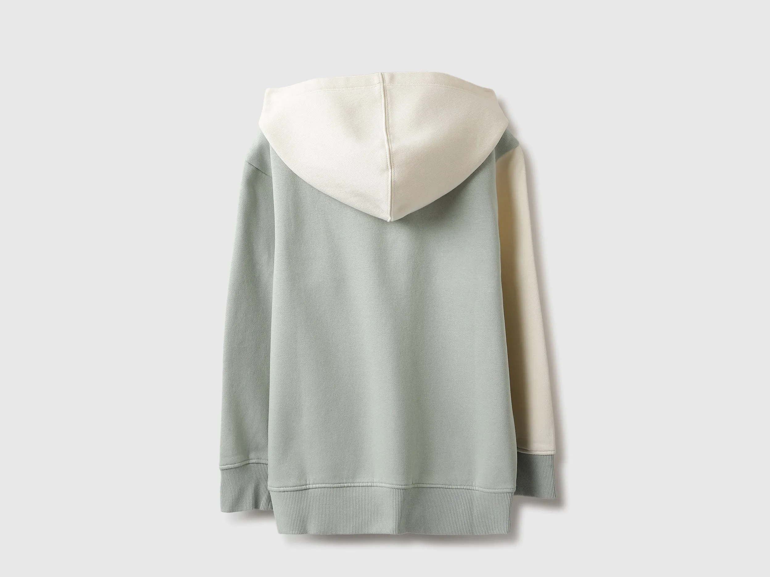 Regular Fit Hooded Neck Colorblock Sweatshirt