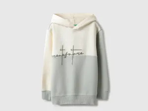 Regular Fit Hooded Neck Colorblock Sweatshirt