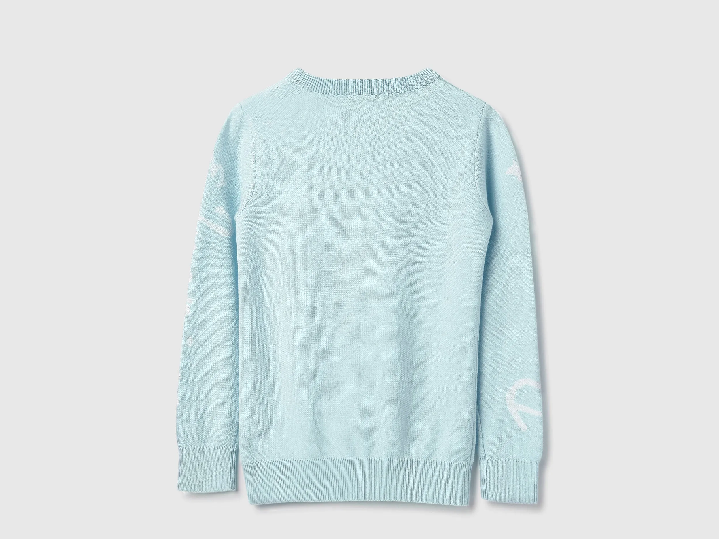 Regular Fit Round Neck Printed Sweatshirt