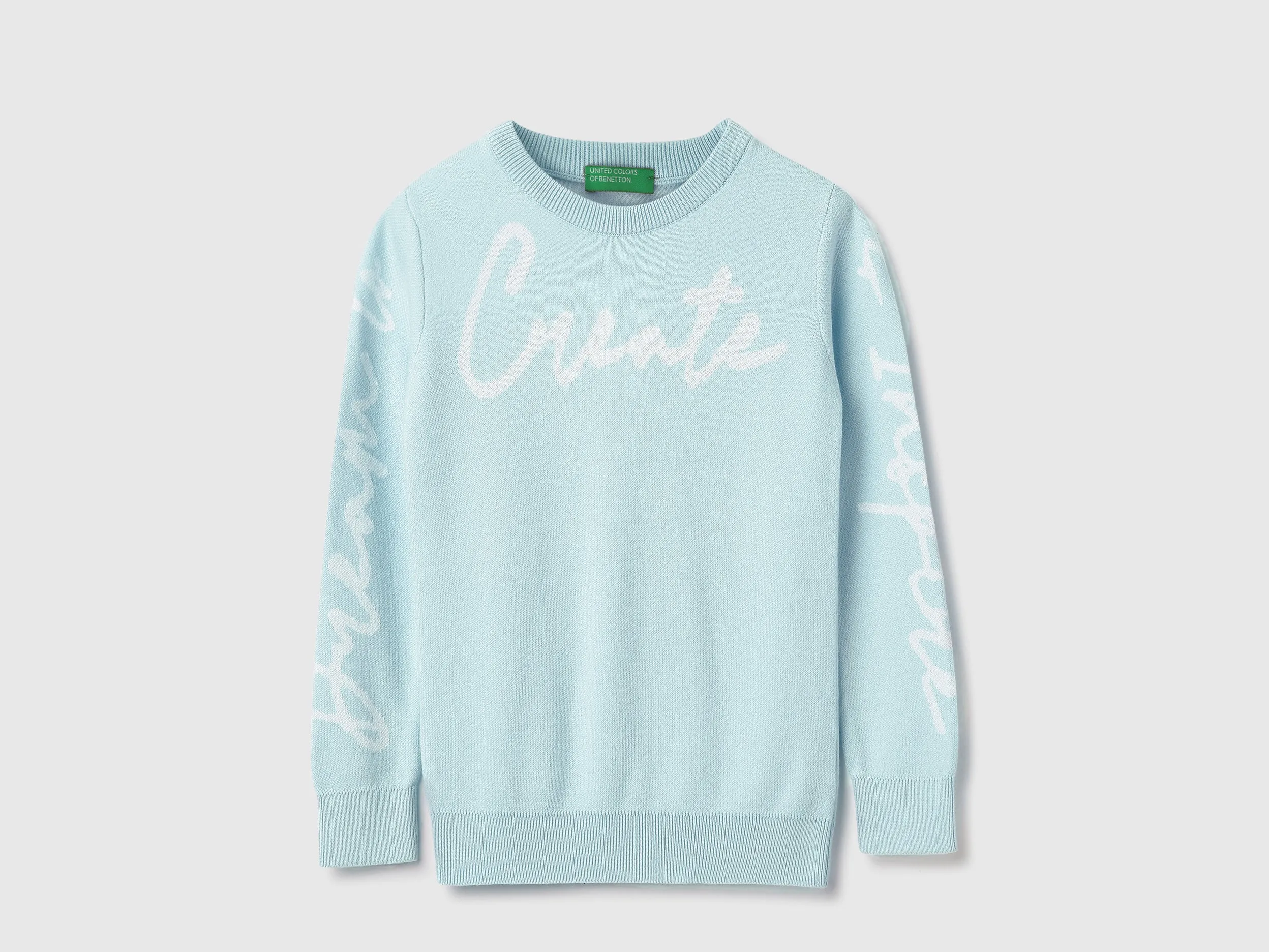 Regular Fit Round Neck Printed Sweatshirt