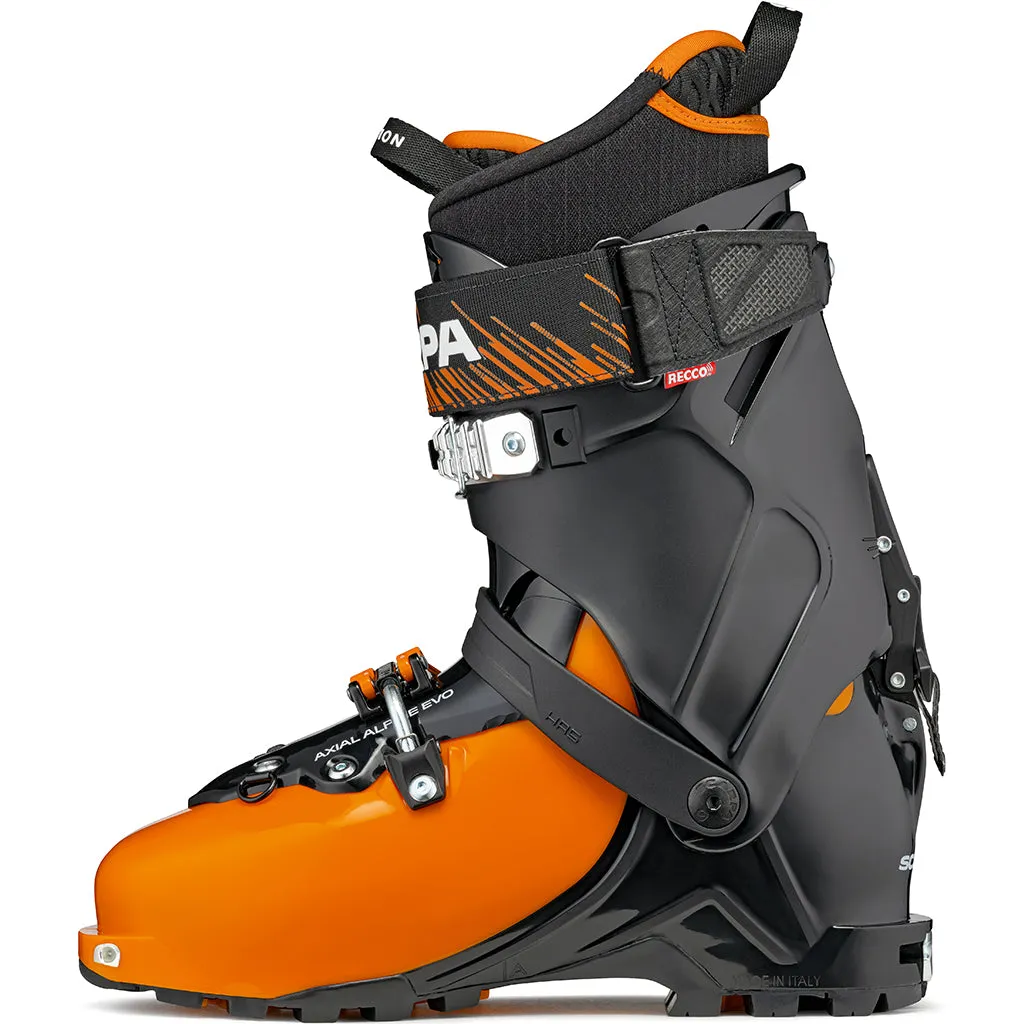 Scarpa - Maestrale