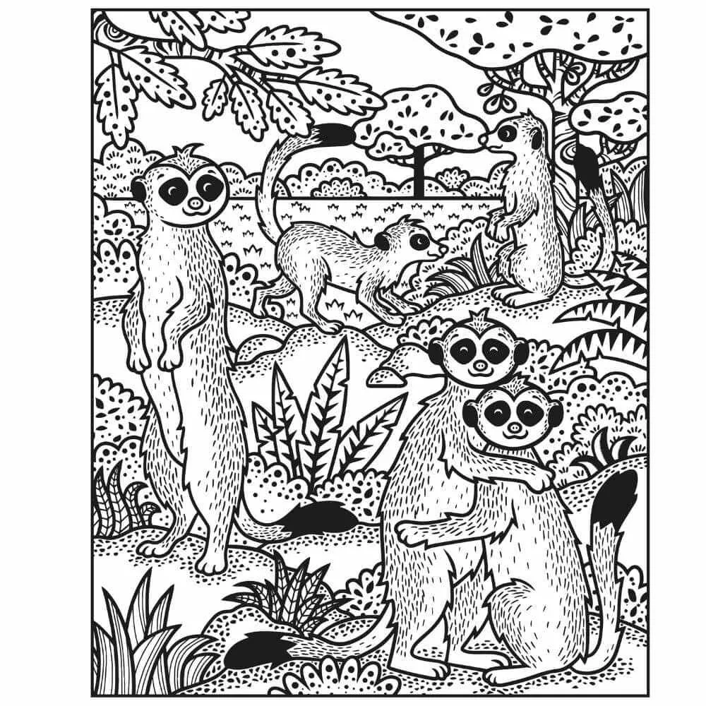 Usborne Animals Magic Painting