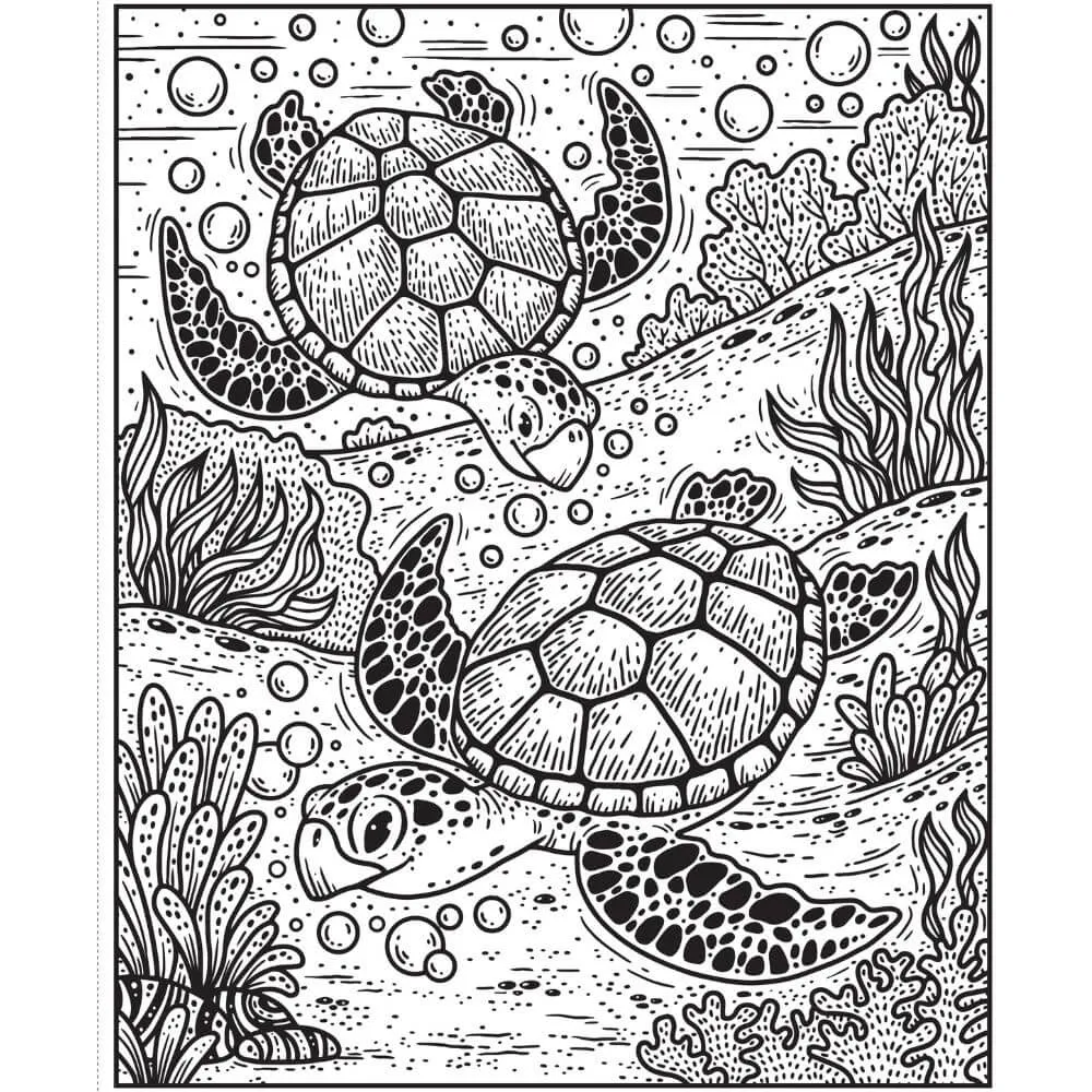 Usborne Narwhals and Other Sea Creatures Magic Painting Book