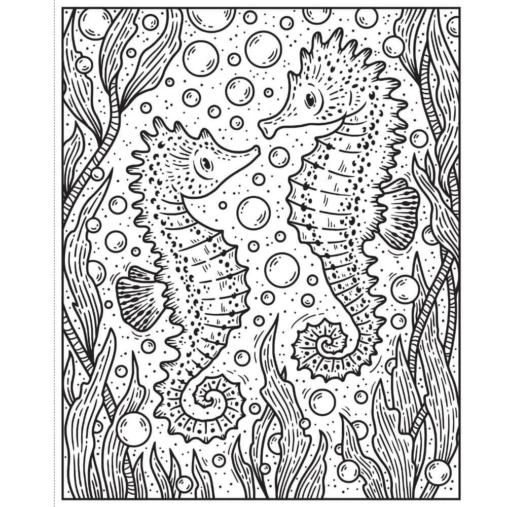 Usborne Narwhals and Other Sea Creatures Magic Painting Book