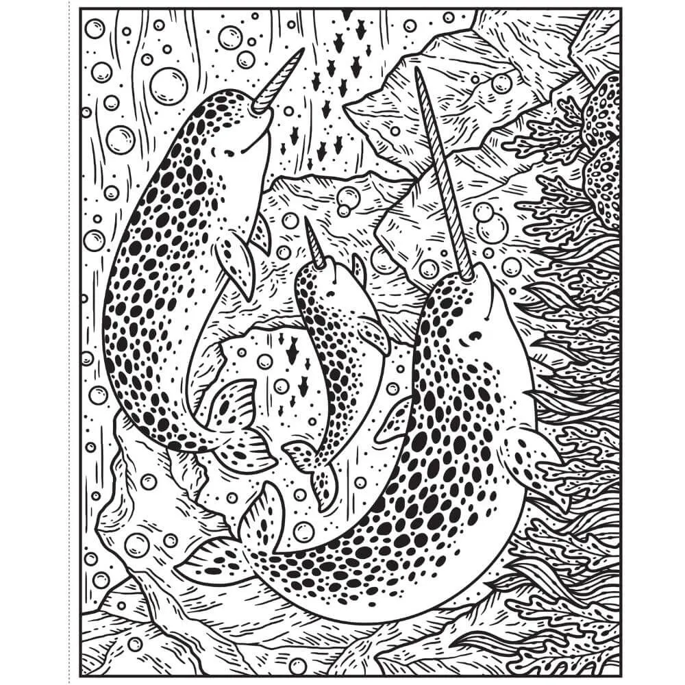 Usborne Narwhals and Other Sea Creatures Magic Painting Book