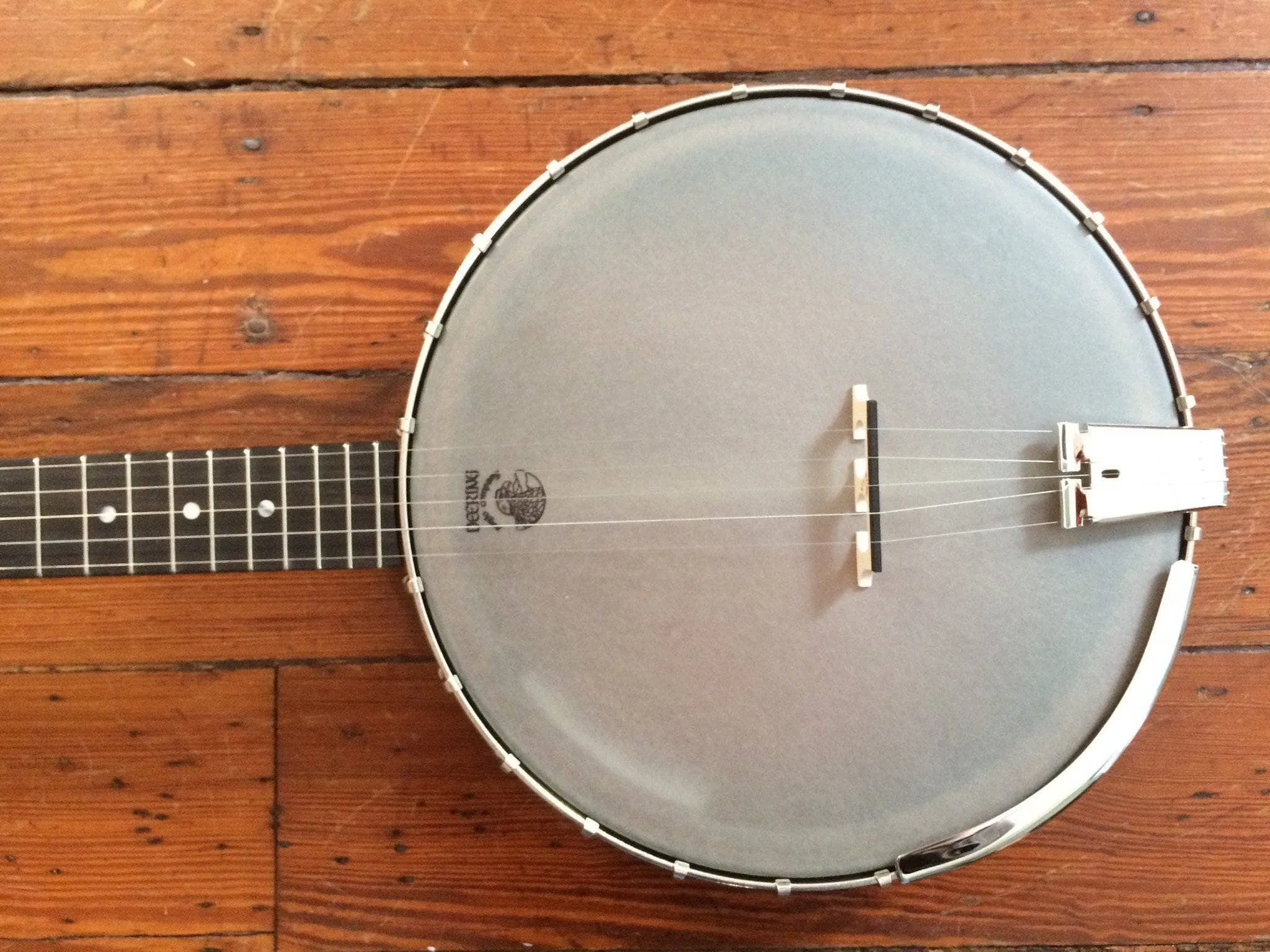 Vega Little Wonder Banjo with 12" Rim