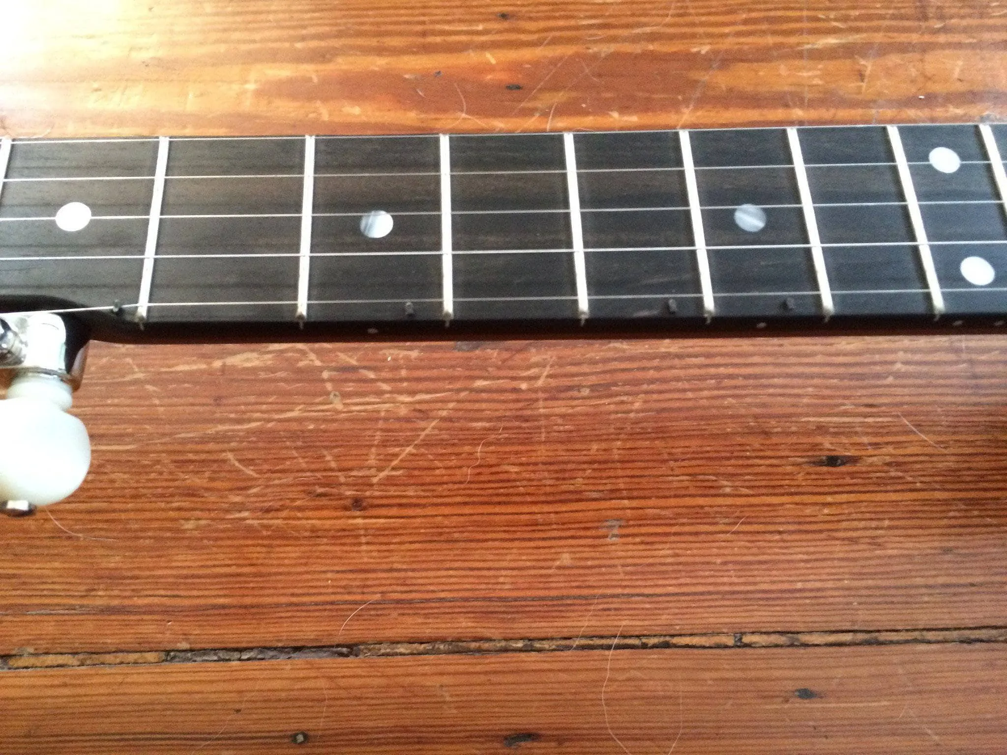 Vega Little Wonder Banjo with 12" Rim
