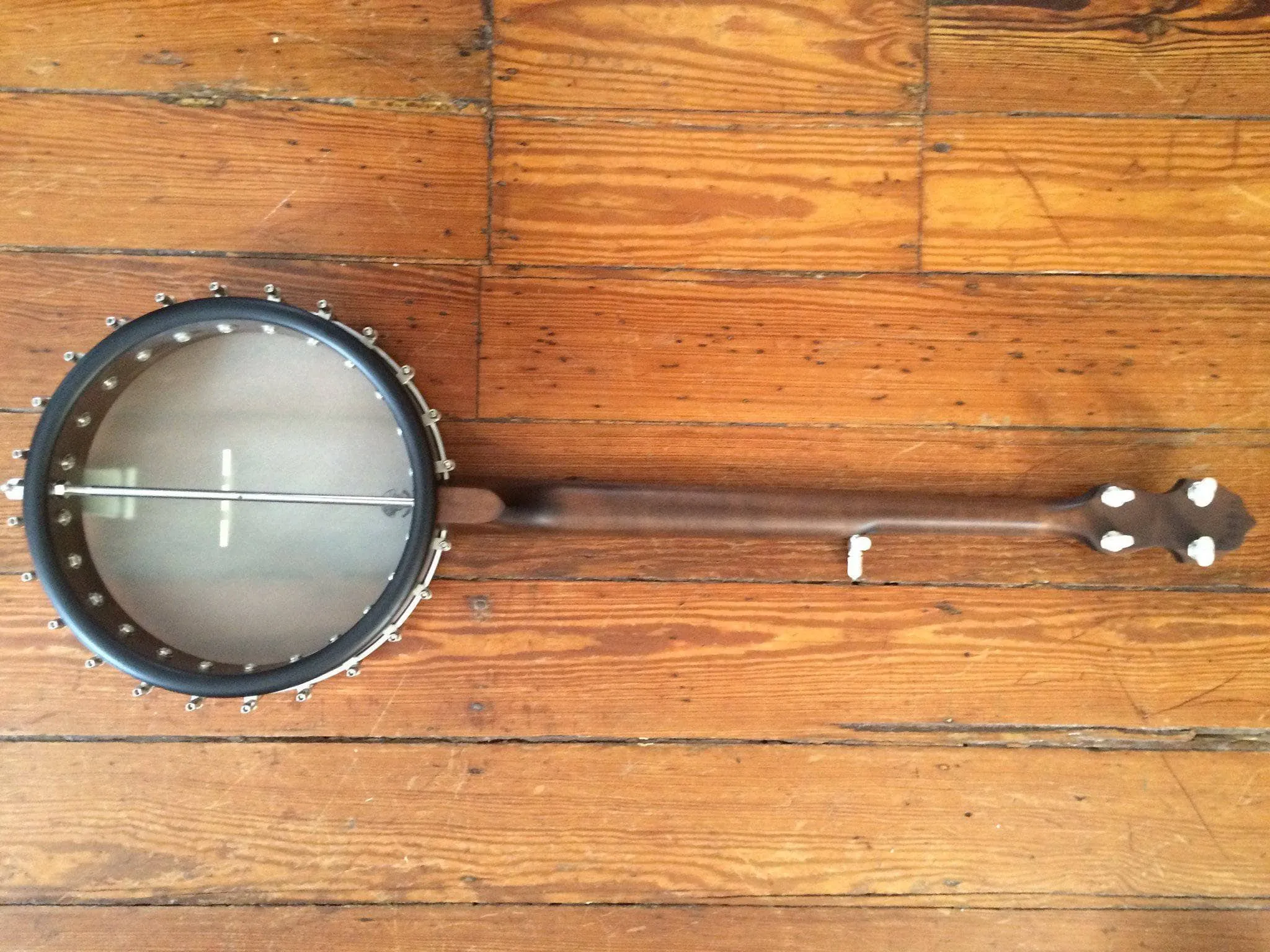 Vega Little Wonder Banjo with 12" Rim