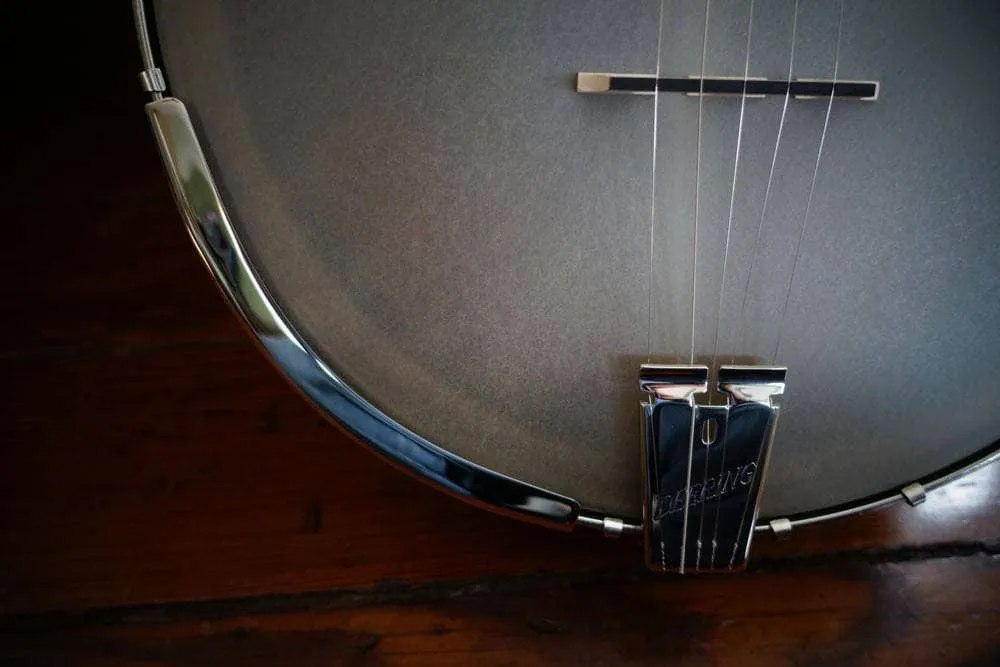 Vega Little Wonder Banjo with 12" Rim
