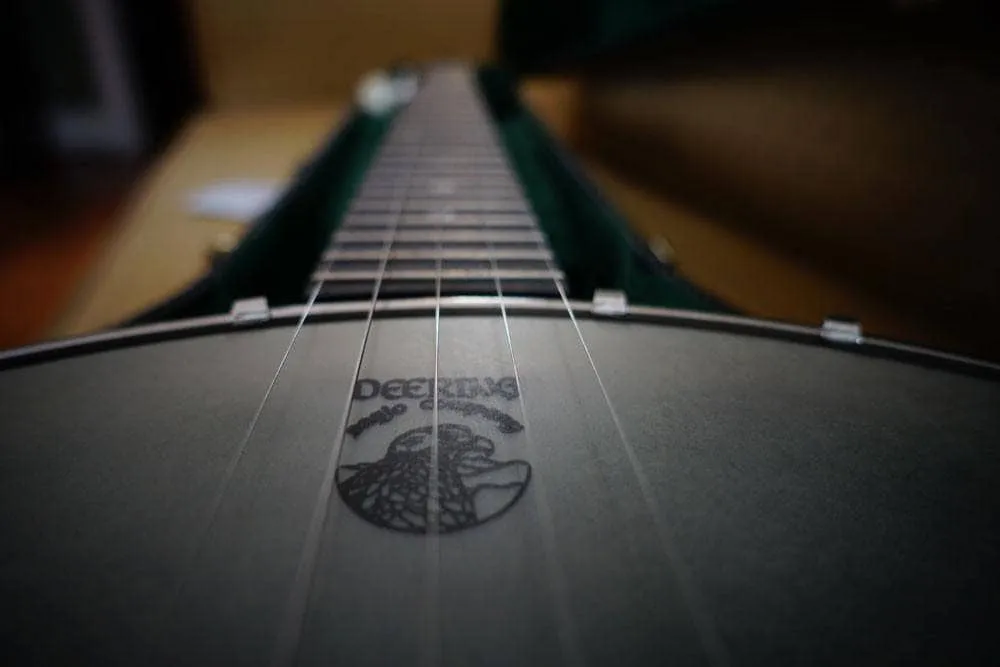 Vega Little Wonder Banjo with 12" Rim
